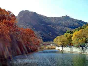 新澳天天开奖资料大全旅游团，釉下五彩毛瓷碗